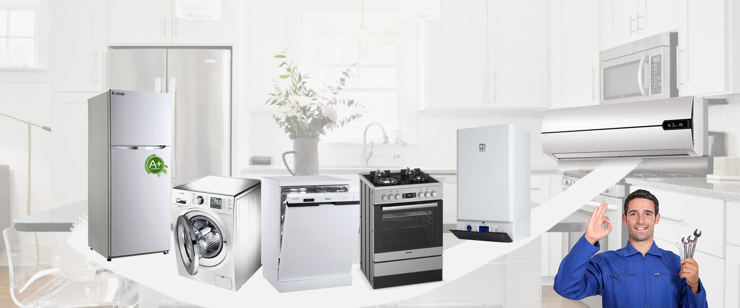 Fatsa Gorenje Servisi